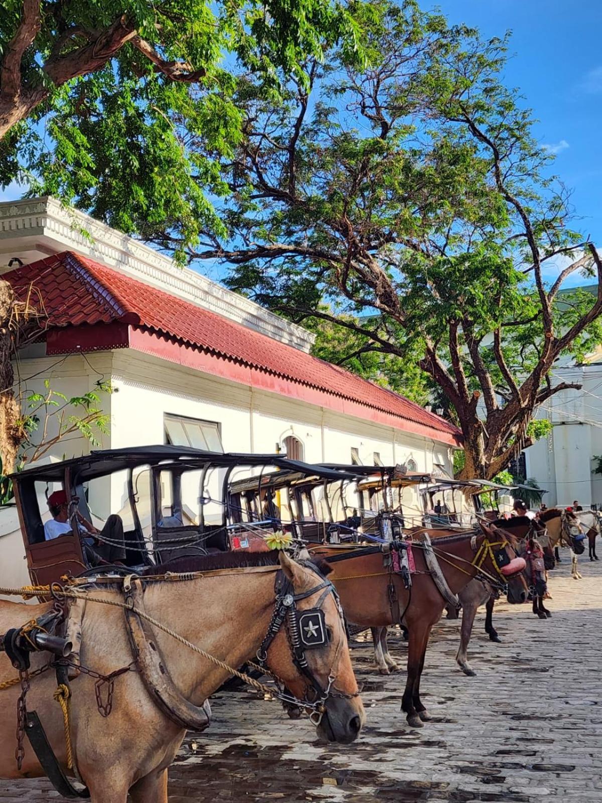 The Orange House - Vigan Villa Dış mekan fotoğraf