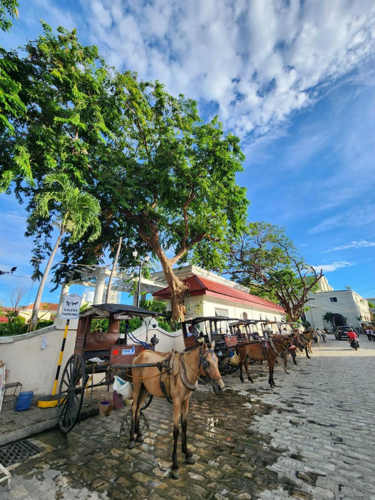 The Orange House - Vigan Villa Dış mekan fotoğraf